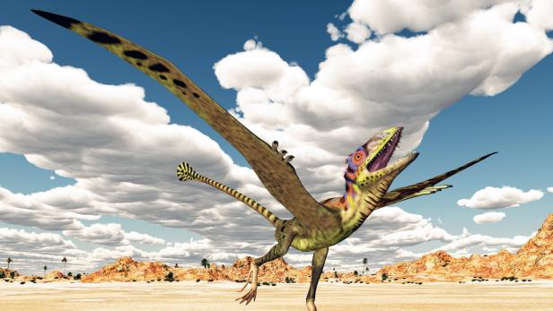 Klimawandel sorgte für Ausbreitung der Dinosaurier