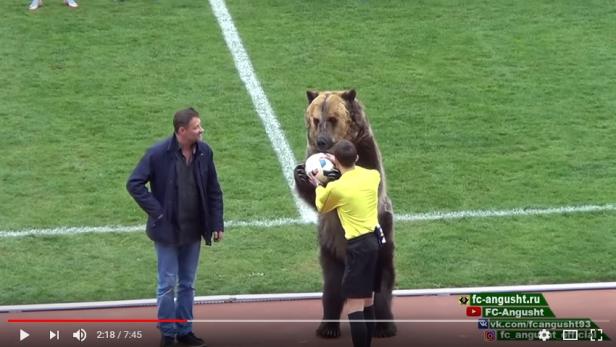 Empörung über Zirkusbären bei Fußballspiel in Russland 