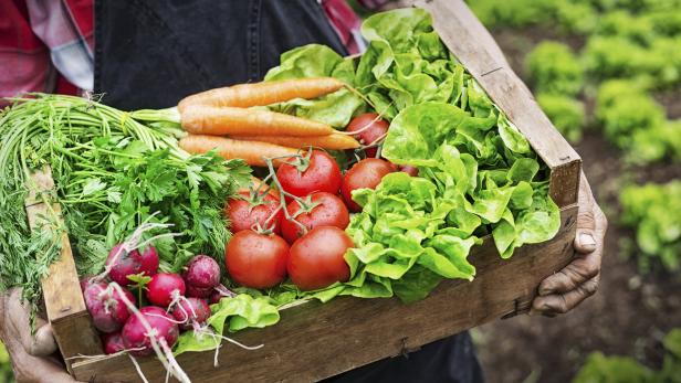 Heimisches Gemüse kaufen beruhigt das Gewissen