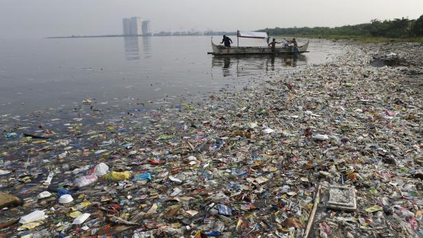 Deutsche Grüne: EU-weite Plastiksteuer soll Müll reduzieren