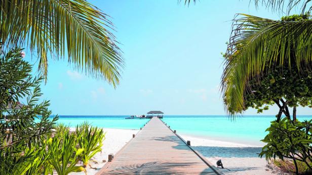 Malediven: Mit dem Speedboot in den Urlaubsmodus