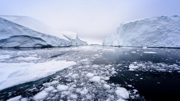Heuer ist die Eisschicht der Antarktis besonders dünn.
