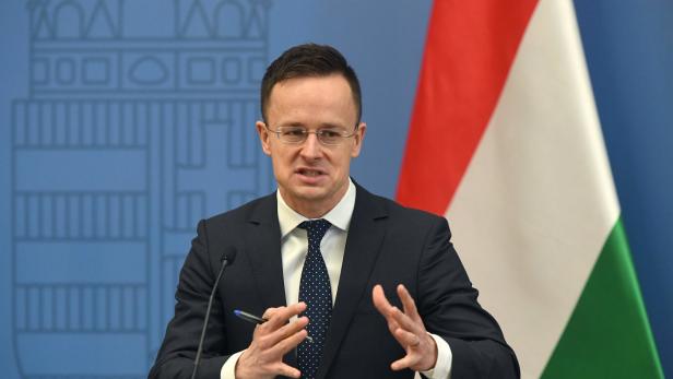 Ungarn schickte "Soros-Plan" an Van der Bellen