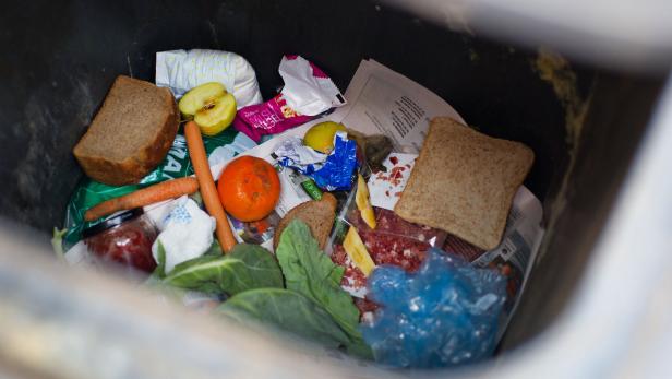 Viele Lebensmittel, die noch essbar wären, landen im Müll