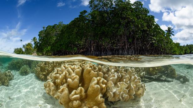 Ein Paradies imj Südpazifik, eine von 99 Inseln der Salomonen