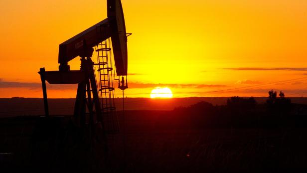OPEC will Ölförderung auf 600.000 Barrel pro Tag verdoppeln