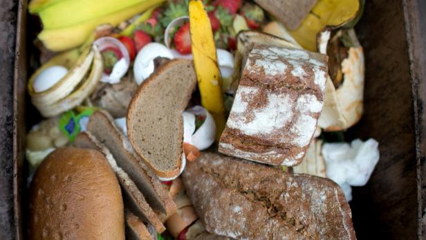 Wiener Tafel: Es sollen keine essbaren Lebensmittel im Müll landen