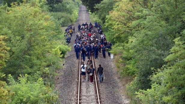 Slowenien: Migrationslage auf Südroute "sehr problematisch"