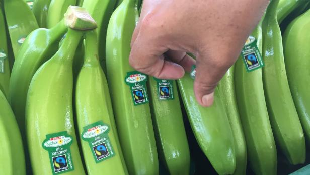 Reife Leistung: Wie die   Banane zu uns kommt