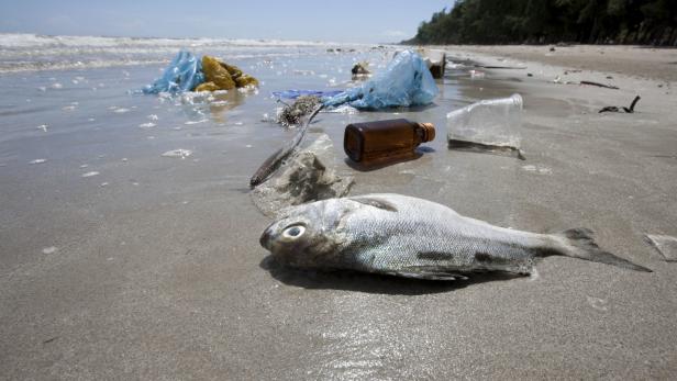 83.000 Müllwagen voller Plastik landen jährlich im Mittelmeer