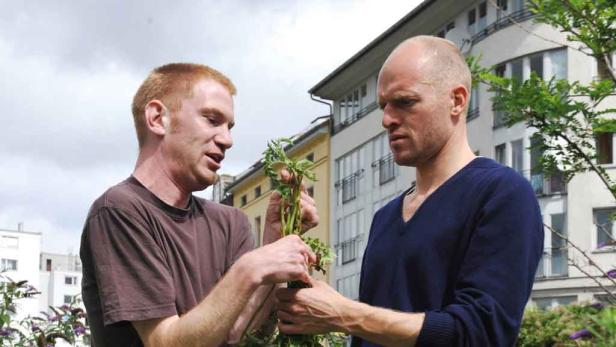 Gärtnern in der Stadt: Projekt in Berlin