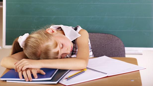 Einschlafphase ist für das Lernen besonders wichtig