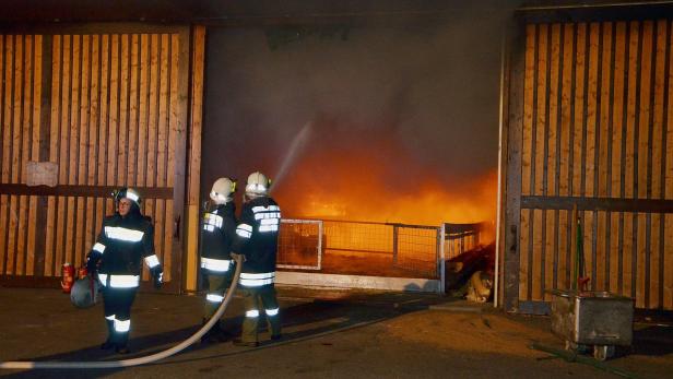 Autounfall und Brand im Waldviertel: 185 Feuerwehrleute im Einsatz
