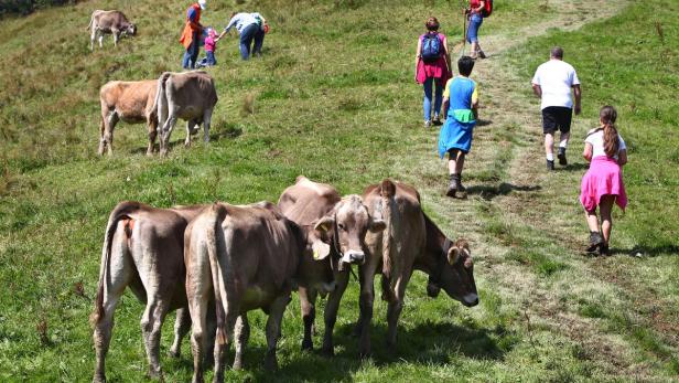 Für den weiteren Sommerverlauf herrscht nicht zuletzt wegen des Wetters Optimismus.