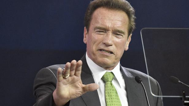 "Politiker, nicht Kinder in den Käfig": Arnie attackiert Trump