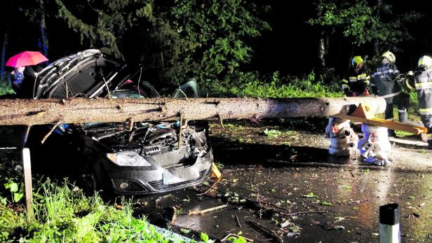 In Gnas stürzte ein Baum auf ein vollbesetztes Auto