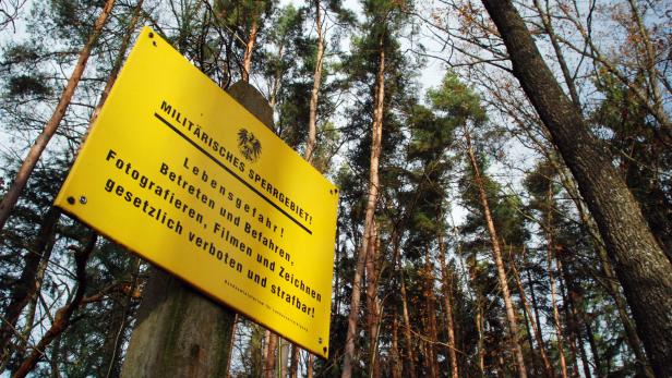 Auf dem 15.700 Hektar großen Truppenübungsplatz sind Tausende Fichtenbäume von Borkenkäfern befallen.