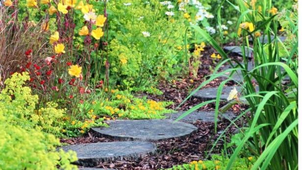 WOODLAND PATH WITH STEPPING STONES COVERED WITH CHICKEN WIRE FOR GRIP.