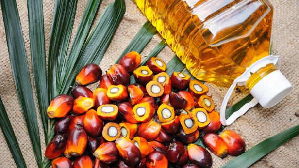 Fresh oil palm fruits