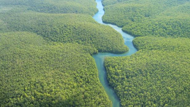 Der Amazonas-Regenwald bedeckt große Teile des Amazonasbeckens in Südamerika, welches sechs Millionen Quadratkilometer in neun Ländern umfasst.