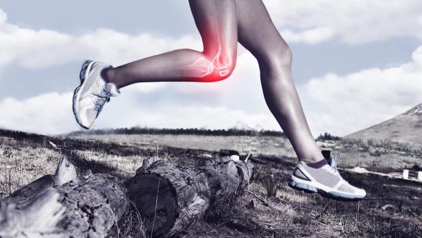Hilfe für verletzte Knie: Ein neues Kreuzband aus Seide