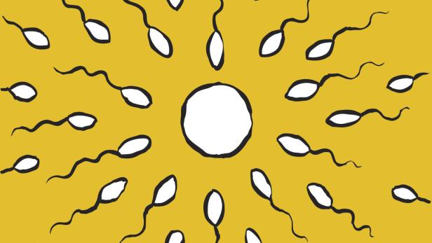 Nicht nur im Sperma: Spermidin hält jung, sagen Forscher
