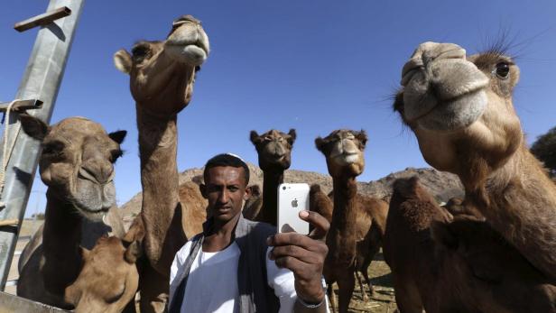 Ein Mann macht ein Selfie mit einer Gruppe von Kamelen vor blauem Himmel.