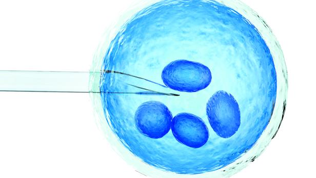 artificial insemination or ivf