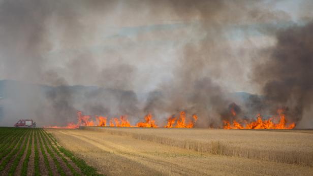 Bezirk Mödling: 20 Hektar Getreidefeld standen in Brand