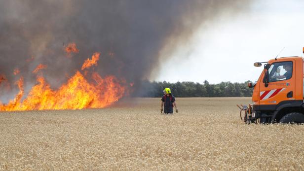 Erst Anfang Juni brannten im Bezirk Mödling 20 Hektar eines Getreidefeldes ab