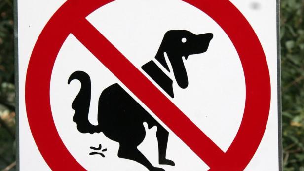 Weg mit dem Geschäft: „Der Park ist keine Hunde-Toilette“