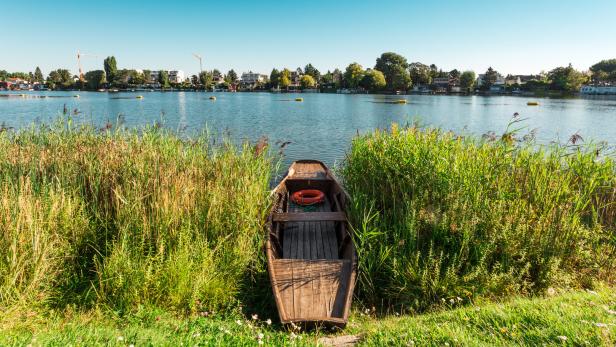 Alte Donau: Revival der Wiener Riviera