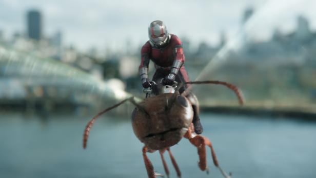 Ant-Man reitet auf einer riesigen Ameise vor einer Stadtkulisse.