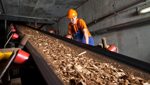 Biomasse-Kraftwerke bangen um Förderungen
