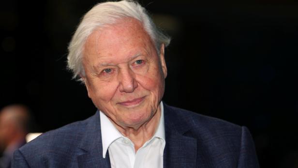 David Attenborough wurde durch seine preisgekrönten Naturdokumentationen bekannt, die er für die BBC produzierte.