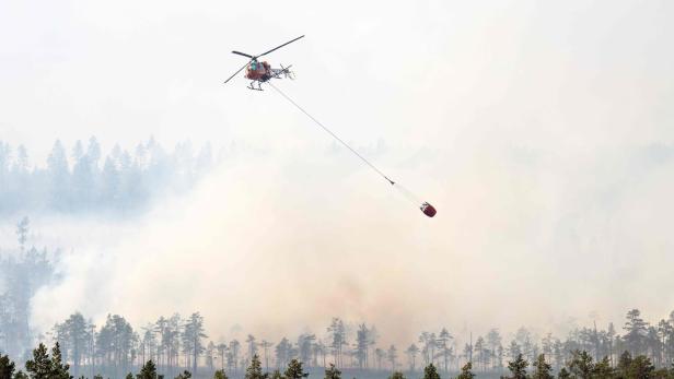Schweden: Militär rückt Waldbränden mit Bomben zu Leibe