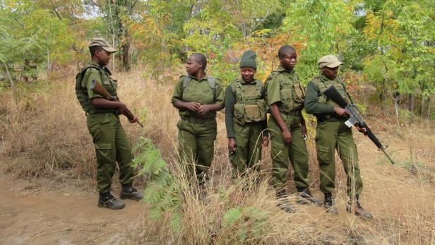 Die erste rein weibliche Anti-Wilderer-Einheit Simbabwes rettet die Elefanten-Bestände