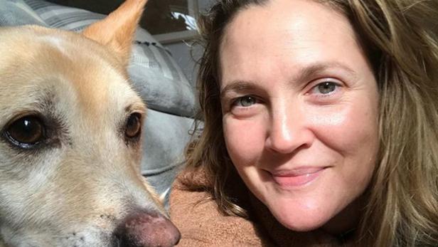 WAU: Diese Stars haben ein Herz für Hunde in Not