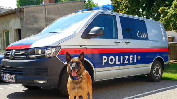 Großeinsatz der Polizei bei Suche nach Achtjährigem in Wien