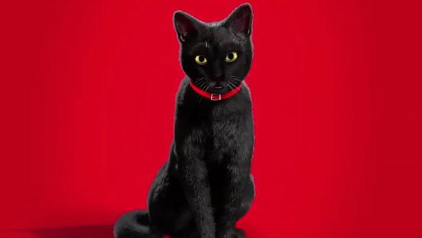 Die schwarze Internorm-Katze kehrt auf den TV-Schirm zurück.