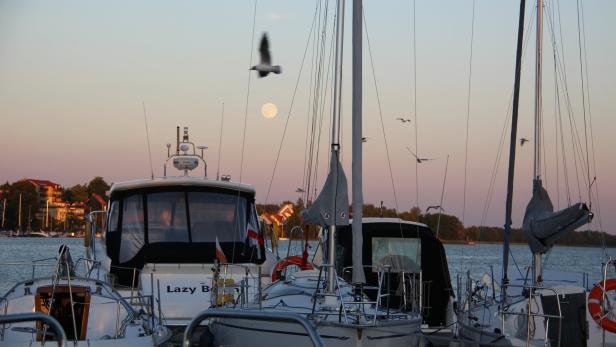 Vollmond über dem Talty-See: Hungrige Möwen und gut eine Stunde länger Licht als in unseren Breiten