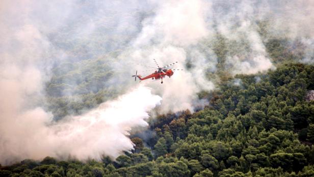 Waldbrände in Griechenland: Nächster Rücktritt