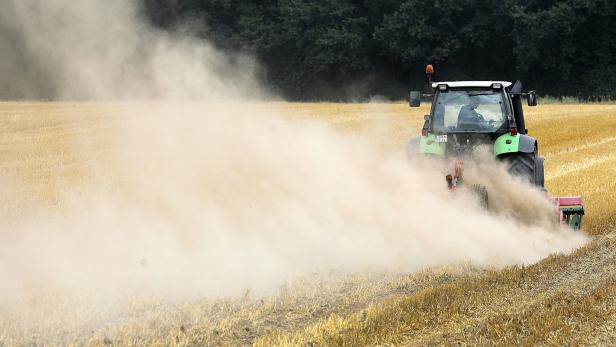 Weniger Getreide wegen Dürre: "Österreich wird verletzbar"