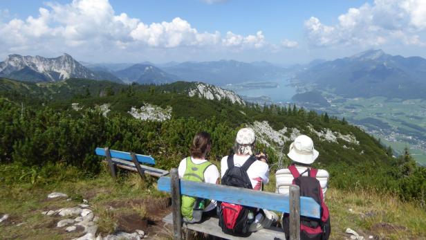 Blick vom Hainzen auf 1638 Metern Höhe auf den Wolfgangsee