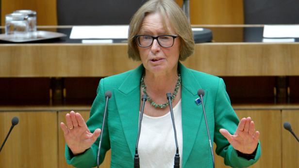 NATIONALRAT: MOSER Gabi Moser: Fakten über die Grüne Korruptionsjägerin. Die Oberösterreicherin Gabriela Moser sitzt mit zweijähriger Unterbrechung seit 1994 für die Grünen im Nationalrat und hat sich als Aufdeckerin, zuletzt als Vorsitzende des Korruptions-U-Ausschusses, einen Namen gemacht.