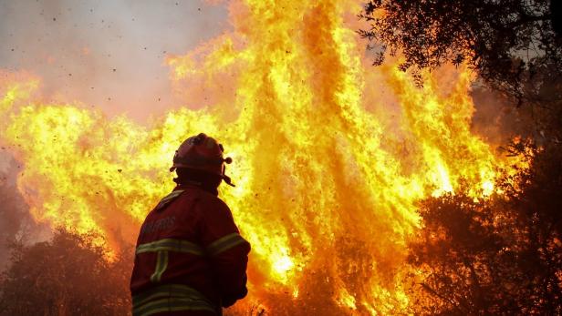 Waldbrände in Urlaubsregion Algarve wüten weiter