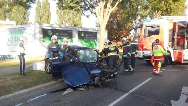 Schwerverletzter bei Unfall auf Triesterstraße