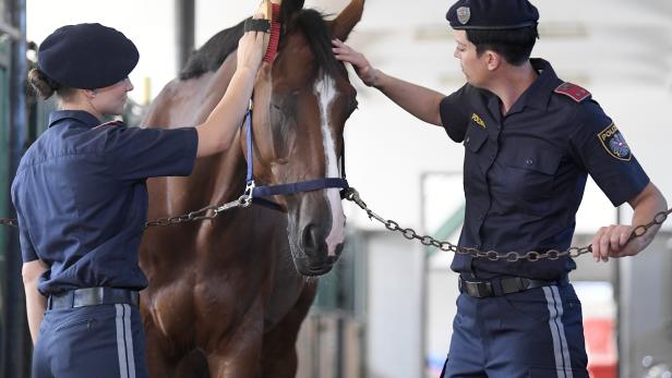 Berittene Polizei - Ausbildungsstart mit zehn Pferden und 19 Reitern