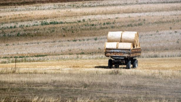 Ein Anhänger mit Heuballen steht auf einem abgeernteten Feld.