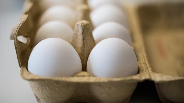 Hennen legen deutlich mehr Eier als früher